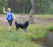 Превью фото № 157459