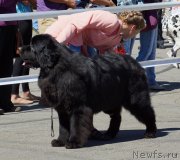 Превью фото № 157484