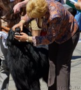 Превью фото № 157505