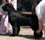 Превью фото № 15752