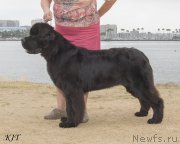 Превью фото № 157569