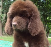 Превью фото № 157643