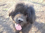 Превью фото № 157679