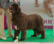 Превью фото № 157735