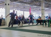 Превью фото № 157749