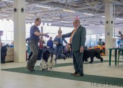 Превью фото № 157750