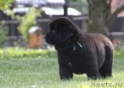 Превью фото № 157764