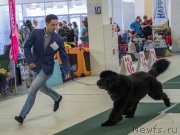 Превью фото № 157783