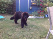 Превью фото № 157803