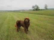 Превью фото № 157810