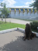 Превью фото № 157814