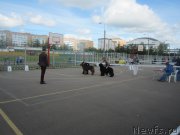 Превью фото № 157816