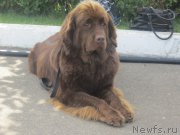 Превью фото № 157818