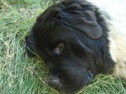 Превью фото № 157836