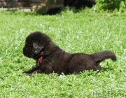 Превью фото № 157907