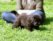 Превью фото № 157908