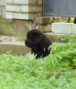 Превью фото № 157917