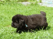 Превью фото № 157922