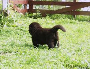 Превью фото № 157924