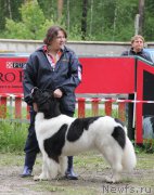 Превью фото № 157951