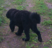 Превью фото № 157955