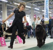 Превью фото № 157964