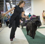 Превью фото № 157965