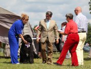 Превью фото № 158064