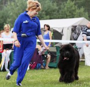 Превью фото № 158076