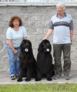 Превью фото № 158082