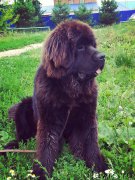 Превью фото № 158196