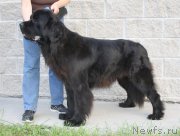 Превью фото № 158198