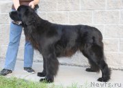 Превью фото № 158199