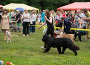 Превью фото № 158226