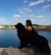 Превью фото № 158227