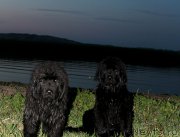 Превью фото № 158264