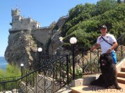 Превью фото № 158269