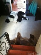 Превью фото № 158312