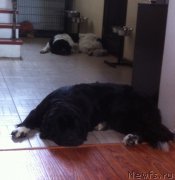 Превью фото № 158318