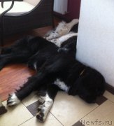 Превью фото № 158320