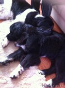 Превью фото № 158322