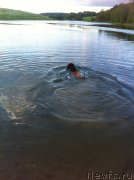 Превью фото № 158325