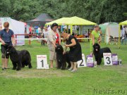 Превью фото № 158334