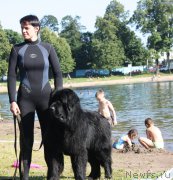 Превью фото № 158336