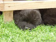 Превью фото № 158389