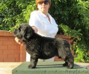 Превью фото № 158432