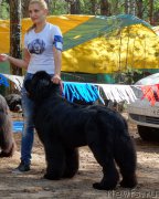 Превью фото № 158456