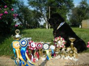 Превью фото № 158469