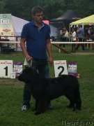 Превью фото № 158470