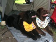 Превью фото № 158472